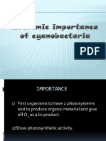 Cyanobacteria Economic Importance