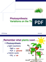 Photosynthesis:: Variations On The Theme