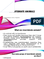 Powerpoint Invertebrate Animals