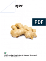 Ginger (English) PDF