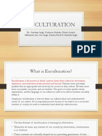 ENCULTURATION