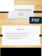 PHOTOSYNTHESIS Grade 10