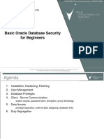 2018-S-Matthias Mann-Basic Oracle Database Security For Beginners-Praesentation
