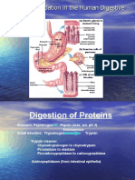 Topic 3 Amino Acid and Protein-Edited