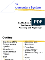 The Integumentary System: Prepared By: Dr. Ma. Brenda C. Pancho Far Eastern University Anatomy and Physiology