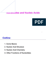 Nucleotides and Nucleic Acids