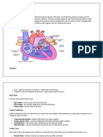 Disease Rheumatic Heart Disease