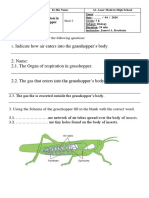 Respiration in Grasshopper