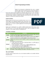 Socket Programming in Python PDF