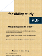 Feasibility Study