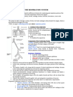 The Respiratory System