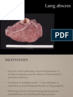 Lung Abscess