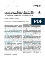 A Short Guide To Common Heterotrophic Flagellates of Freshwater Habitats Based On The Morphology of Living Organisms PDF