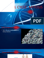 The Cell Cycle: Mitosis