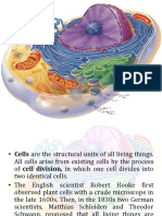 Human Cell Anatomy