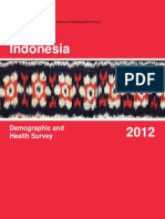 2012idhs PDF