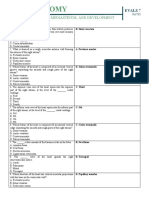 Anatomy Ratio 7