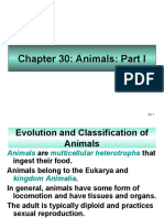 Chapter 30: Animals: Part I