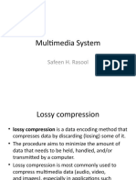 Multimedia System: Safeen H. Rasool