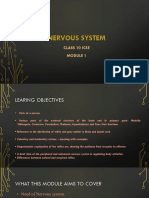 Nervous System Module 1 PDF