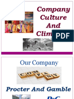 Company Culture & Climate