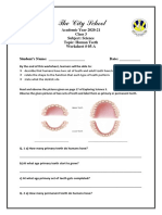 Worksheets Week 5 - Class 3 - Science - Worksheet 05-A PDF