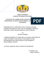 Feyisa Tefera Thesis