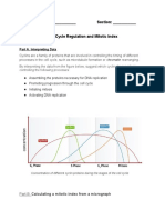 Cell Cycle Regulation and Mitotic Index