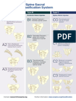 Coccygeal or Compression Vs Ligamentous Avulsion Fractures: Type A Type B Type C