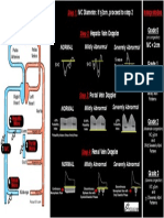 VExUS Ultrasound Score Protocol PDF