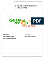 Report On Goldspot Marketing