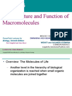 Chapter 5 The Structue and Function of Macromolecules