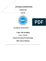 Programming Fundamentals Lab 10 (File Handling) New Batch