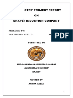 An Industry Project Report 2