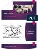 Ruminants: Flo Giles, Sophie Powles and Mary Towill