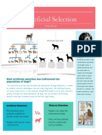 Artificial Selection Poster