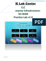 CLC CCIE EI SD-Wan Lab v1.0 - Full Solution