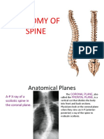 Anatomy of Spine