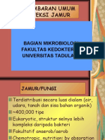 Gambaran Umum Infeksi Jamur (Mikrobiologi)