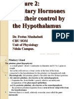 Lecture 2 - Pituitary Hormones and Their Control by The Hypothalamus