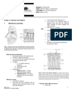 Taste and Smell Physiology