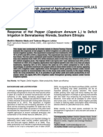 Response of Hot Pepper (Capsicum Annuum L.) To Deficit Irrigation in Bennatsemay Woreda, Southern Ethiopia