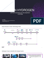 Green Hydrogen: Opportunities in The Energy System