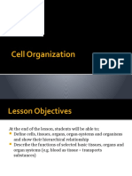 Cell Organization Grade 7