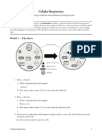 Kami Export - Nadia Gorman - (Template) 13 Cellular Respiration-S