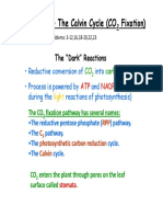 Chapter 23 - The Calvin Cycle (CO Fixation)