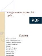 Assignment On Product Life Cycle