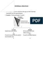 Femoral Triangle: Laterally Medially