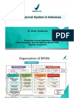 Drug Approval System in Indonesia