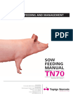 TN70 Sow Feeding and Management